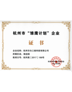 雏鹰计划证书